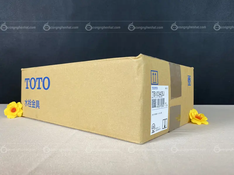 Vòi sen nhiệt độ Toto TBV03405J