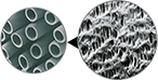 section 2 component 4