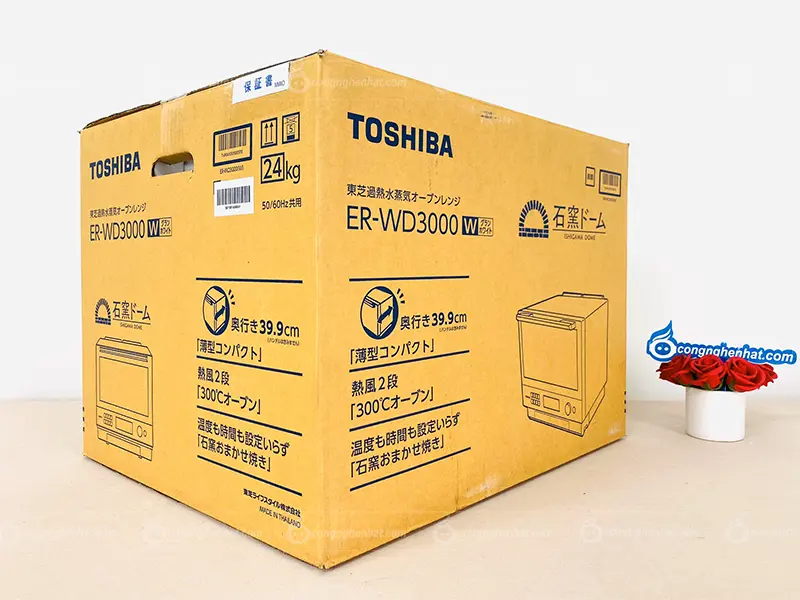 Tủ lạnh Toshiba ER-WD3000-W