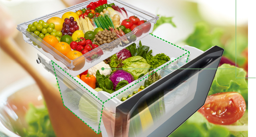 Mua tủ lạnh Nhật nào bảo quản được nhiều thực phẩm?