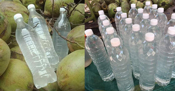Cách bảo quản nước dừa trong tủ lạnh lên đến 10 ngày