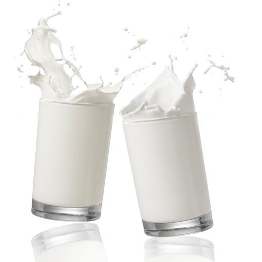 Cách bảo quản sữa tươi mùa hè trong tủ lạnh