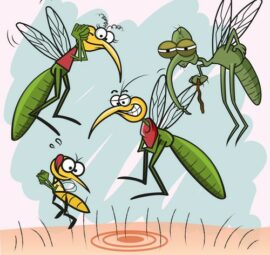 Biện pháp tránh muỗi mùa mưa hiệu quả