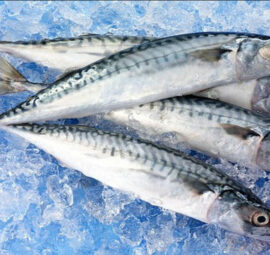 Cách khử mùi thịt, cá tanh bằng tủ lạnh siêu đơn giản