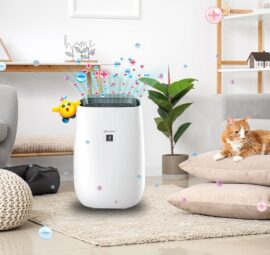 Mua máy lọc bụi mịn nào cho phòng ngủ?