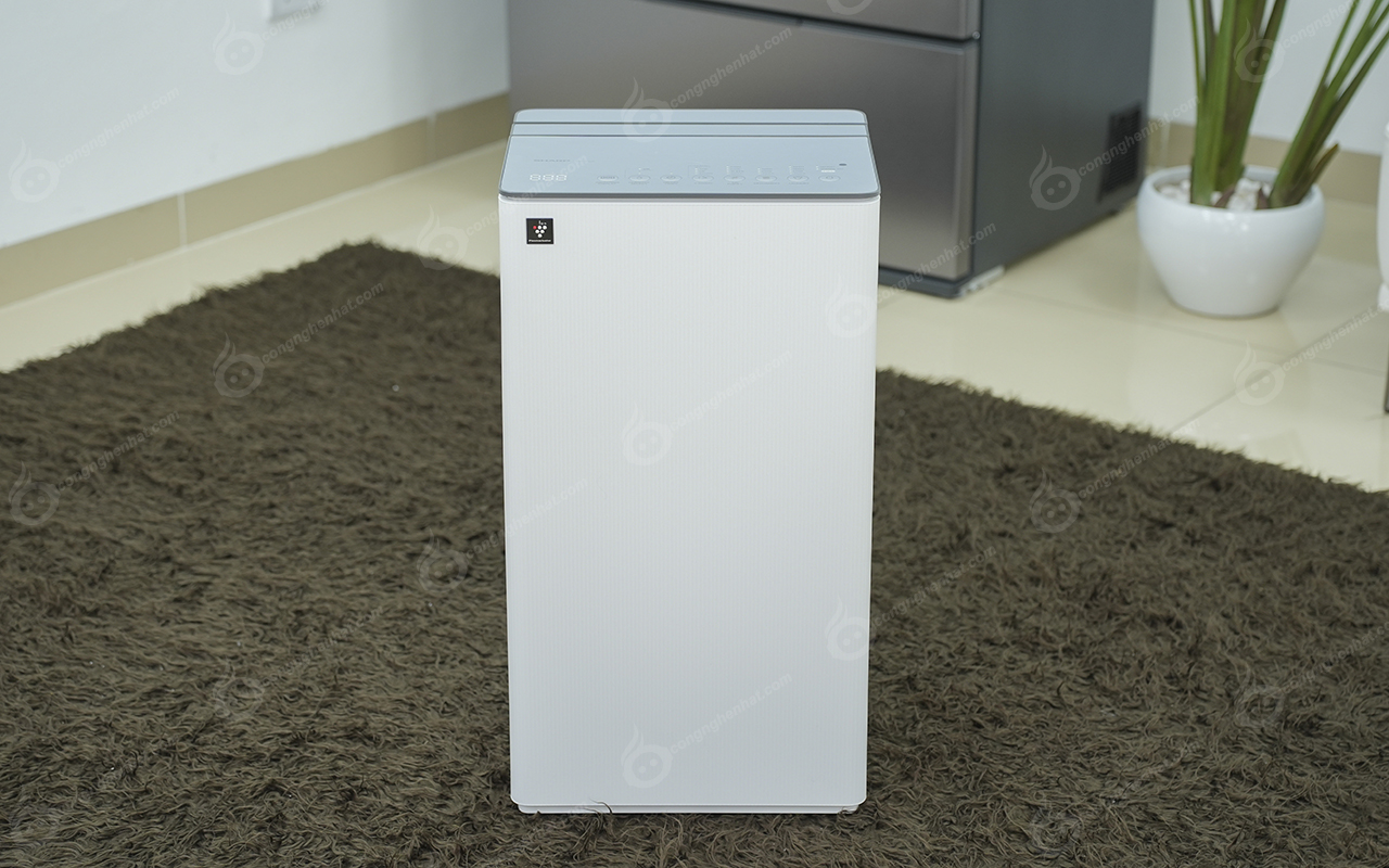 Máy lọc không khí hút ẩm Sharp DW-T30FV-W